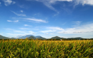Field grass mountains blue sky - landscape free wallpaper for desktop