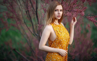 Yellow dress woman tree flower - a yellow dress free wallpaper for desktop