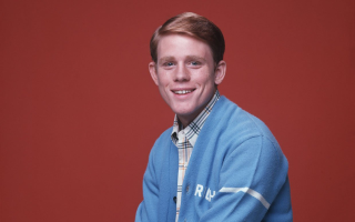 Man blue sweater red background - a red wall behind free wallpaper