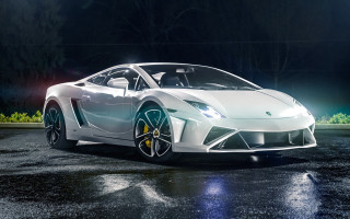 White sports car night park - a green plant free wallpaper