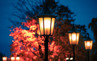 Streetlight tree night autumn fire - free light wallpaper