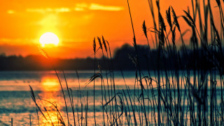 Sunset water tallgrass orange sky 2 - orange sky in the background free wallpaper