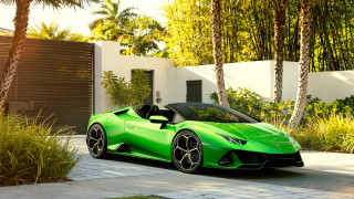 Green sports car house palm 2 - a green sports car free wallpaper