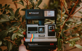 Polaroid camera tree branch rainbow - free vintage wallpaper
