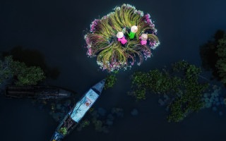 Ecological boat flower water microscopic - a boat in the background free wallpaper