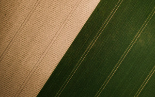 Green white striped wall clock - heavy free wallpaper