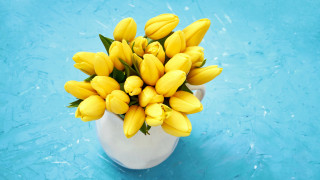 White vase yellow flowers blue - a white vase free wallpaper