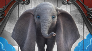 Elephant blue eyes wooden background - a wooden background free wallpaper