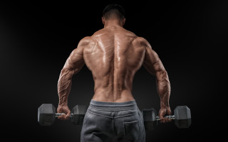 Muscular man back dumbbell black - muscular free wallpaper