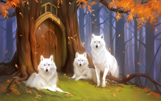 White dogs falling leaves autumn - front of a tree free wallpaper