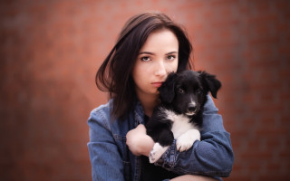 Woman holding puppy brickwall portrait - a puppy free wallpaper
