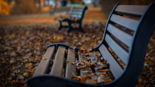Park bench fallen leaves shallow - a bench in the foreground free wallpaper