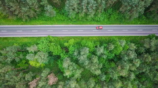 Forest road truck nature shrine - a truck free wallpaper
