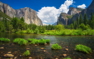 River mountains trees rocks grass - the water and grass free wallpaper