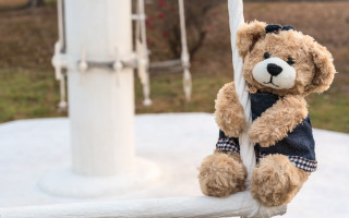 Teddy bear outdoor sunny portrait - toy free wallpaper