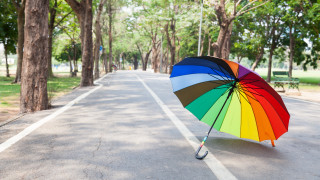 Rainbow umbrella park nature saturated - umbrella free wallpaper