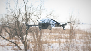 Black white quad tree snow - free technology wallpaper for desktop