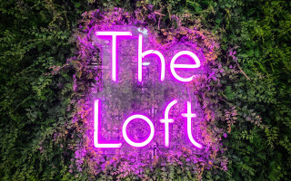 Neon loft flower garden purple - temporary free wallpaper for desktop