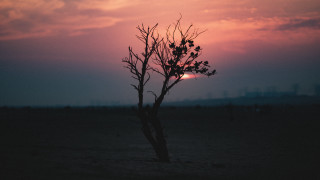 Lone tree sunset clouds mountains - a lone tree in a field free wallpaper