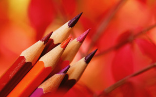 Pencils red leaves ultrafine blurry - bengal school of art free wallpaper
