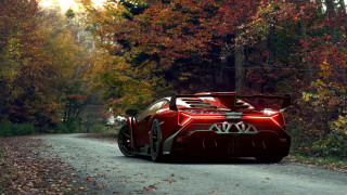 Red sports car forest autumn - the wood free wallpaper