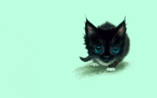 Black kitten blue eyes mustache 2 - its nose free wallpaper