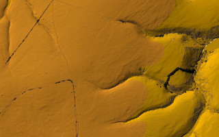 Sunflower desert black line generative - subsurface free wallpaper