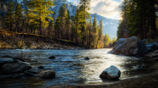 River rocks trees mountain sky - the background and a mountain in the distance free wallpaper