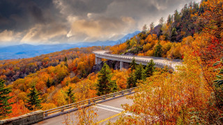 Scenic highway bridge fall leaves - scenic free wallpaper