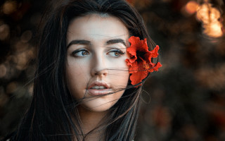 Woman flower black background portrait - long hair and a flower free wallpaper
