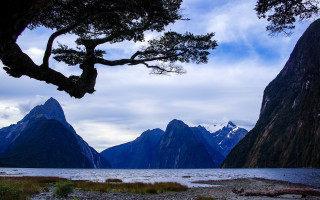 Tree water mountains cloudy sky - widescreen free wallpaper