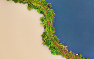 Train river flowers trees nature - the side of the river free wallpaper