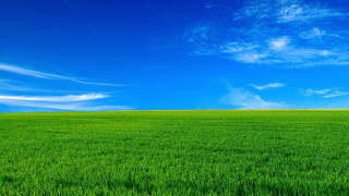 Green field blue sky lone 2 - a green field free wallpaper for desktop