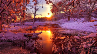Snowy landscape pond trees sunset - a snowy landscape free wallpaper