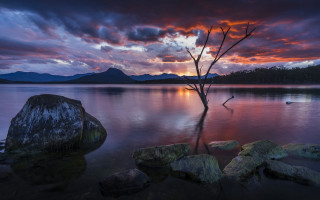 Tree water sunset boat mountain - bob thompson free wallpaper