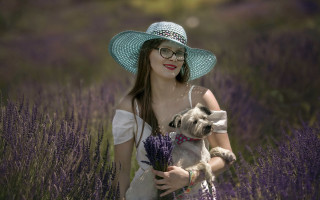 Lavender field woman hat dog - her lap free wallpaper for desktop