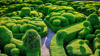 Garden bushes trees path fractals - center area free wallpaper
