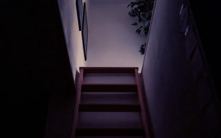 Staircase plant dark room light - elsa bleda free wallpaper
