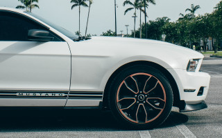 White mustang parking lot palm - a white mustang free wallpaper