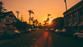 Sunset palm street cars cityscape - both side of it free wallpaper