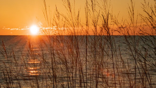 Sunset water tallgrass boat impressionist - over the water free wallpaper