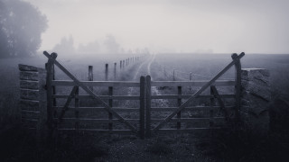 Gate field road fog night - liminal space free wallpaper