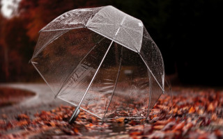 Clear umbrella rain leaves dark - artur tarnowski free wallpaper