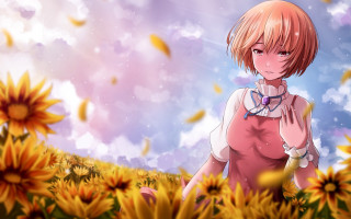 Sunflower girl autumn smile field - a field of sunflowers free wallpaper
