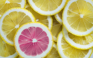 Lemon closeup colorful fauvism staudinger - lemon free wallpaper