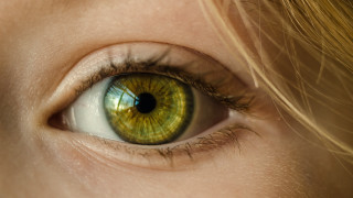 Green eye blonde hair macro - long blonde hair free wallpaper