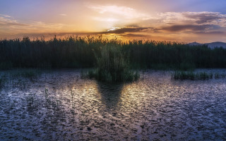 Lake island sunset clouds ecological - a small island in the middle of it free wallpaper