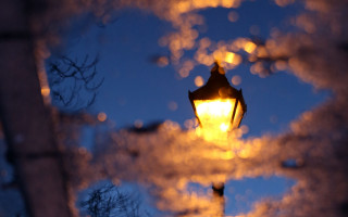 Puddle reflection lamp post bokeh - free light wallpaper