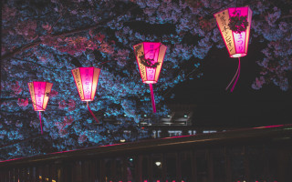 Pink lanterns night tree building - chen chi free wallpaper