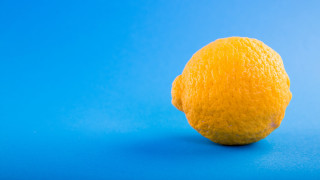 Orange blue stilllife sunflower sky - a blue background behind free wallpaper